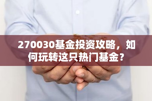 270030基金投资攻略，如何玩转这只热门基金？