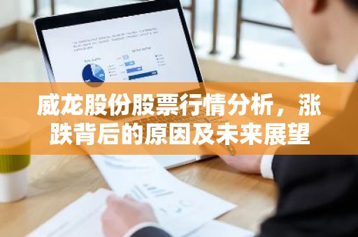 威龙股份股票行情分析，涨跌背后的原因及未来展望