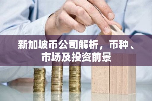 新加坡币公司解析，币种、市场及投资前景