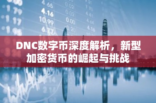 DNC数字币深度解析，新型加密货币的崛起与挑战