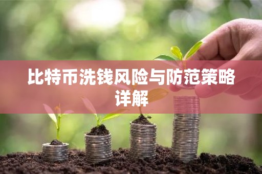 比特币洗钱风险与防范策略详解