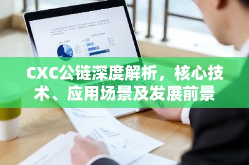 CXC公链深度解析，核心技术、应用场景及发展前景