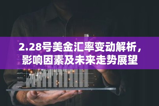 2.28号美金汇率变动解析，影响因素及未来走势展望