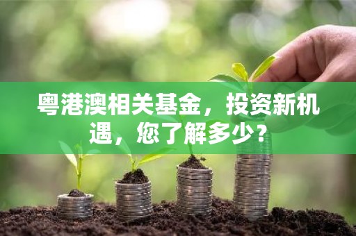 粤港澳相关基金，投资新机遇，您了解多少？