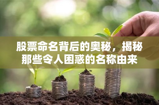 股票命名背后的奥秘，揭秘那些令人困惑的名称由来