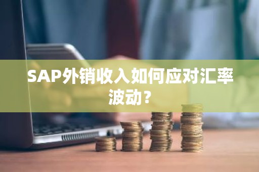 SAP外销收入如何应对汇率波动？