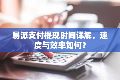 易派支付提现时间详解，速度与效率如何？
