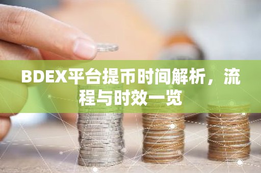 BDEX平台提币时间解析，流程与时效一览