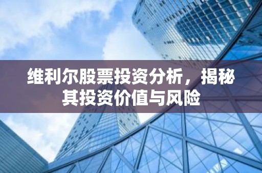 维利尔股票投资分析，揭秘其投资价值与风险