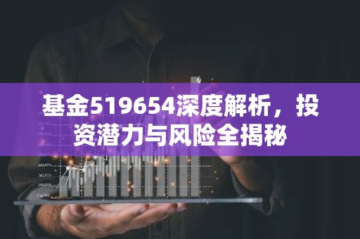 基金519654深度解析，投资潜力与风险全揭秘