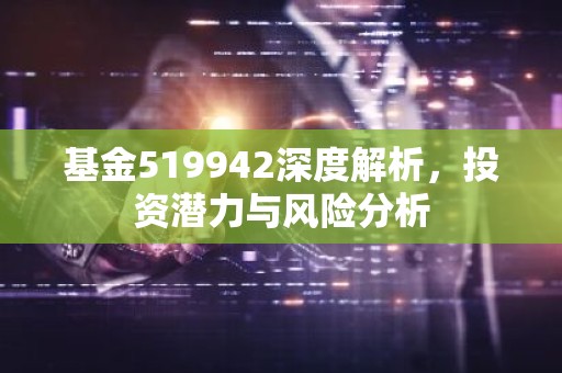 基金519942深度解析，投资潜力与风险分析