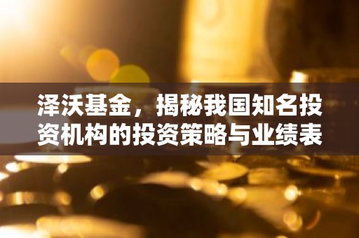 泽沃基金，揭秘我国知名投资机构的投资策略与业绩表现