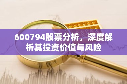 600794股票分析，深度解析其投资价值与风险