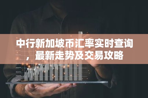 中行新加坡币汇率实时查询，最新走势及交易攻略