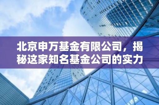 北京申万基金有限公司，揭秘这家知名基金公司的实力与魅力