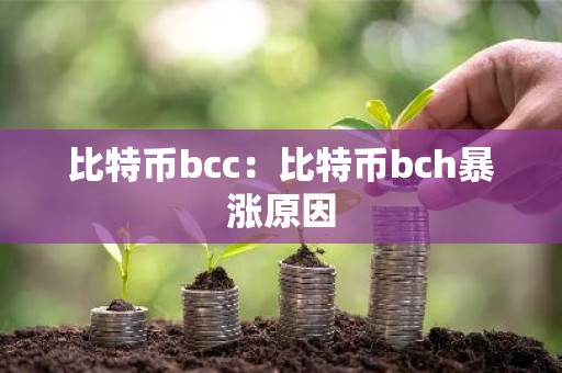 比特币bcc：比特币bch暴涨原因
