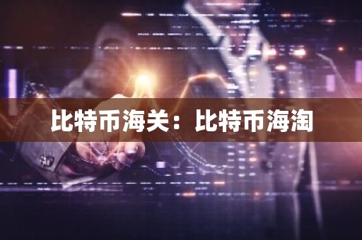 比特币海关：比特币海淘