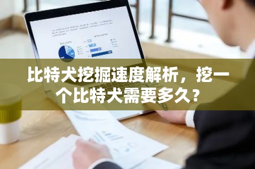 比特犬挖掘速度解析，挖一个比特犬需要多久？