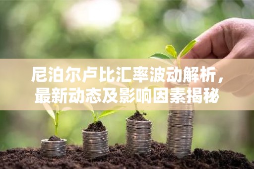 尼泊尔卢比汇率波动解析，最新动态及影响因素揭秘