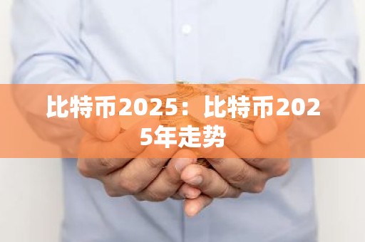 比特币2025：比特币2025年走势