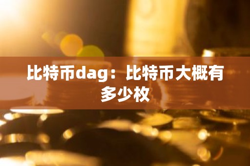 比特币dag：比特币大概有多少枚