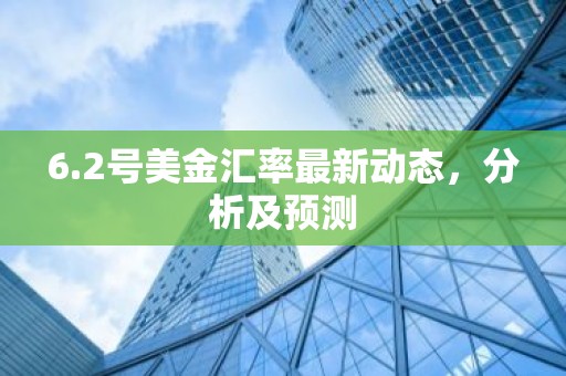 6.2号美金汇率最新动态，分析及预测