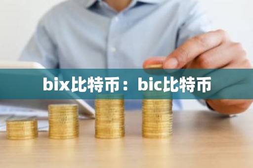 bix比特币：bic比特币