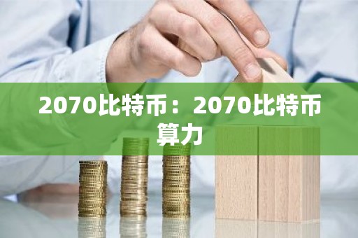 2070比特币：2070比特币算力