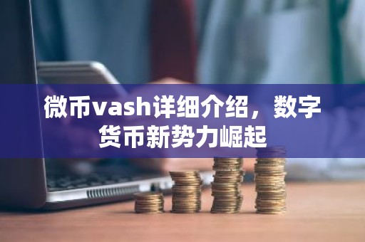 微币vash详细介绍，数字货币新势力崛起