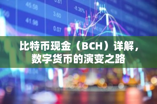 比特币现金（BCH）详解，数字货币的演变之路