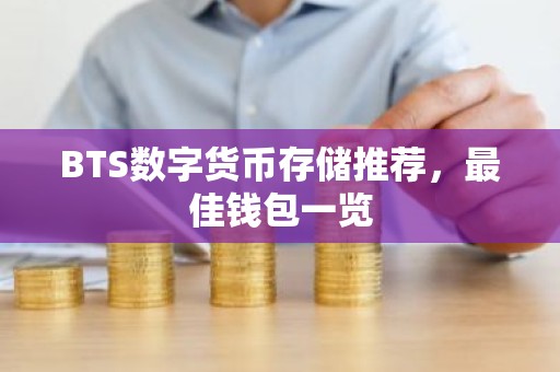BTS数字货币存储推荐，最佳钱包一览