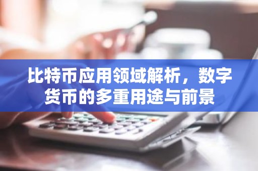 比特币应用领域解析，数字货币的多重用途与前景