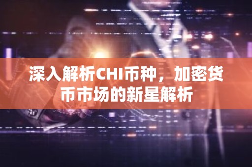 深入解析CHI币种，加密货币市场的新星解析