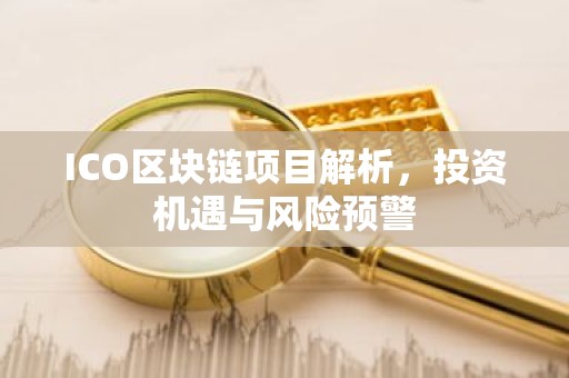 ICO区块链项目解析，投资机遇与风险预警