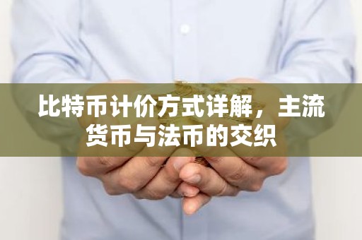 比特币计价方式详解，主流货币与法币的交织