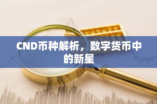 CND币种解析，数字货币中的新星