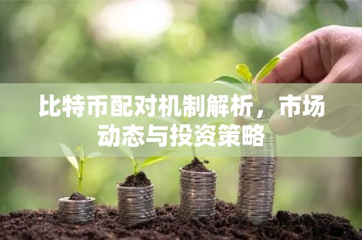 比特币配对机制解析，市场动态与投资策略