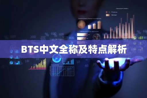 BTS中文全称及特点解析