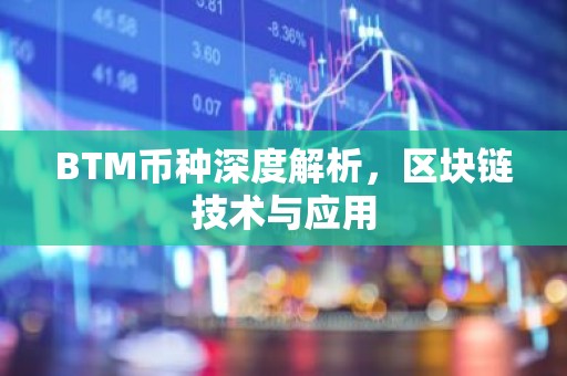 BTM币种深度解析，区块链技术与应用