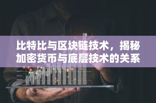 比特比与区块链技术，揭秘加密货币与底层技术的关系