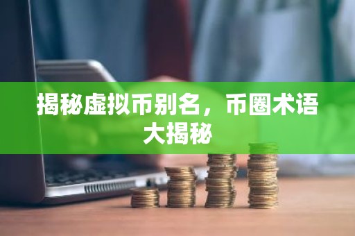 揭秘虚拟币别名，币圈术语大揭秘