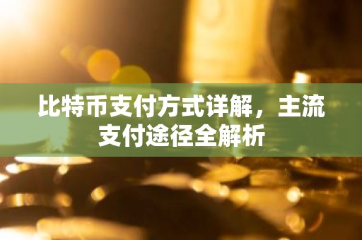 比特币支付方式详解，主流支付途径全解析