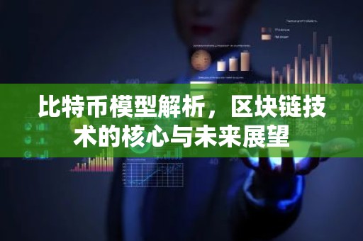 比特币模型解析，区块链技术的核心与未来展望