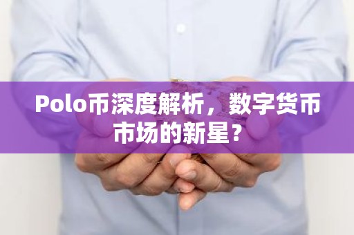 Polo币深度解析，数字货币市场的新星？