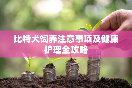 比特犬饲养注意事项及健康护理全攻略