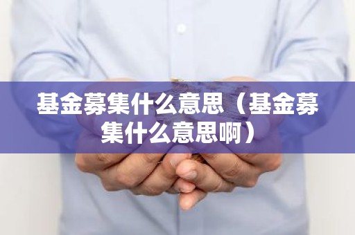基金募集什么意思（基金募集什么意思啊）