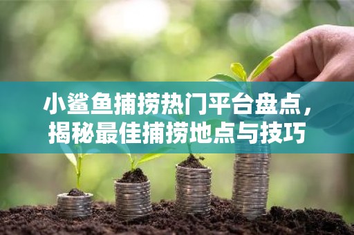 小鲨鱼捕捞热门平台盘点，揭秘最佳捕捞地点与技巧