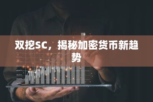 双挖SC，揭秘加密货币新趋势