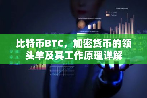 比特币BTC，加密货币的领头羊及其工作原理详解