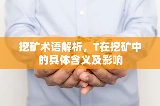 挖矿术语解析，T在挖矿中的具体含义及影响